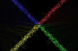 Nexus